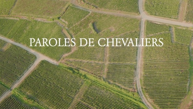 Drone photo of the Champagne vineyards